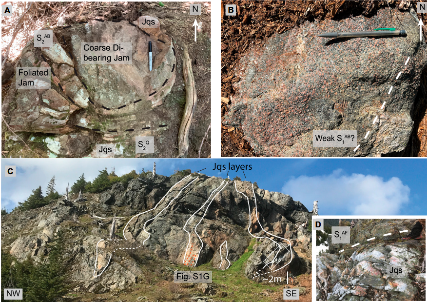 Cunetta et al., 2025