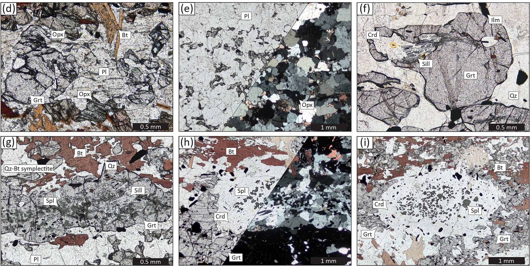 Schiavetti et al., 2025